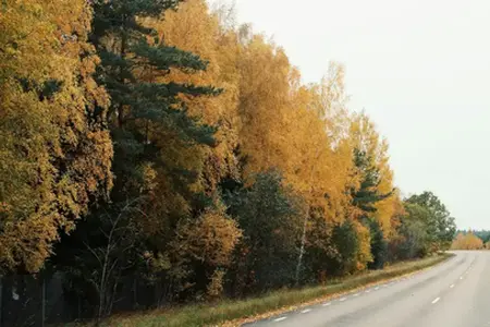 În zona Kladno, renovarea majoră a autostrăzii D6 s-a încheiat cu întârziere.